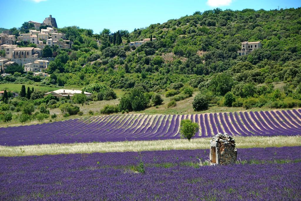 Le Domaine Saint Jean Panzió Kültér fotó